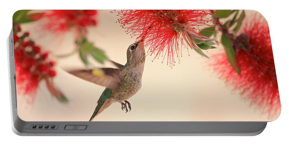 Hummingbird Portable Battery Charger featuring the photograph Hovering Hummingbird by Penny Meyers