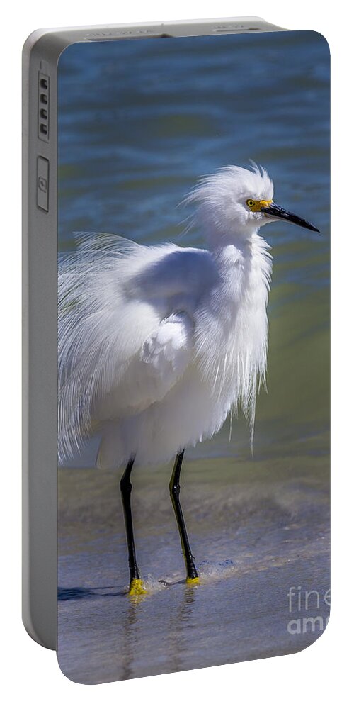 Cove Portable Battery Charger featuring the photograph How Do I Look by Marvin Spates