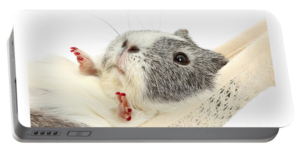 Guinea Pig Portable Battery Charger featuring the photograph How do you like the new nails? by Warren Photographic