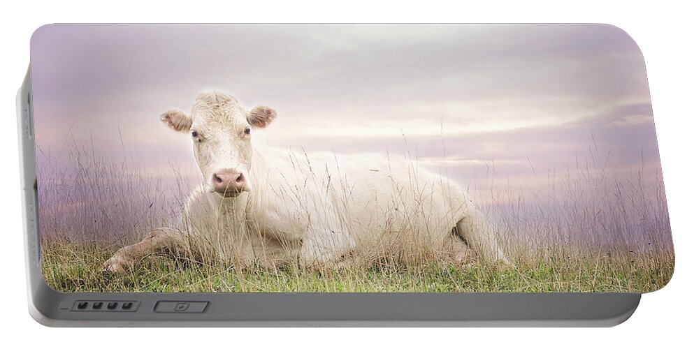 White Cow Portable Battery Charger featuring the photograph How Now White Cow by Heather Applegate