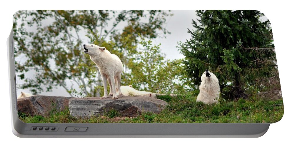Wild Portable Battery Charger featuring the photograph Howling Arctic Wolves by Elaine Manley