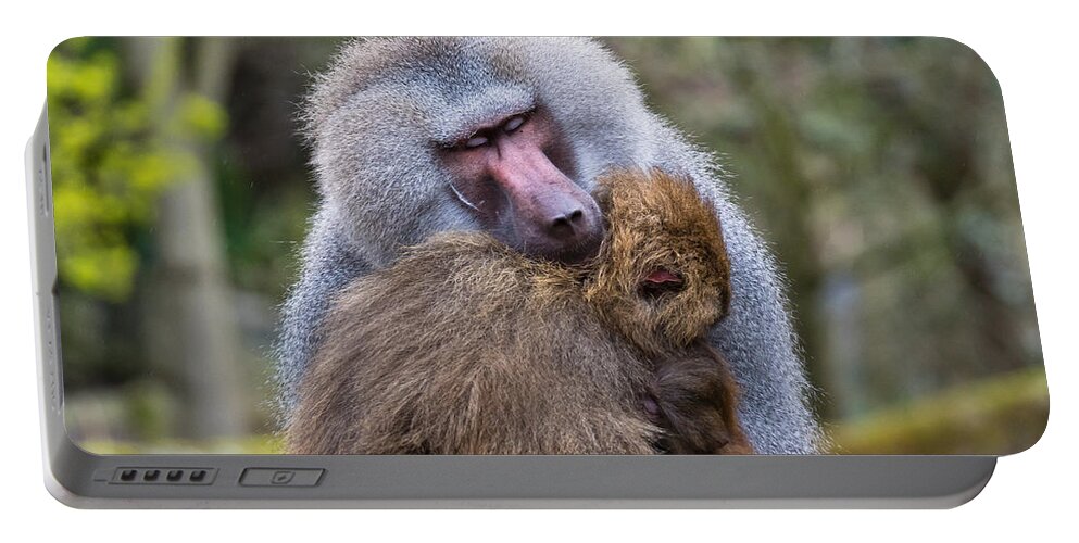 Baboon Portable Battery Charger featuring the photograph Hug Me by Scott Carruthers