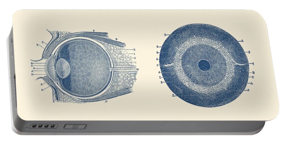 Eye Portable Battery Charger featuring the drawing Human Eye Anatomy Diagram - Dual View by Vintage Anatomy Prints
