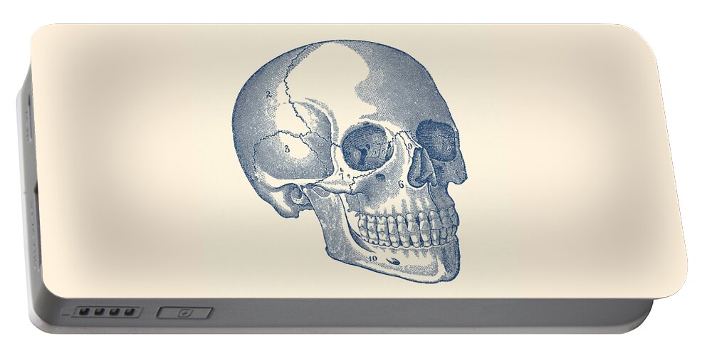 Skeleton Portable Battery Charger featuring the drawing Human Skull Diagram - Vintage Anatomy Print by Vintage Anatomy Prints