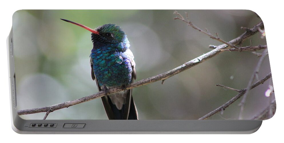 Bird Portable Battery Charger featuring the photograph Hummer by Kathy Bassett