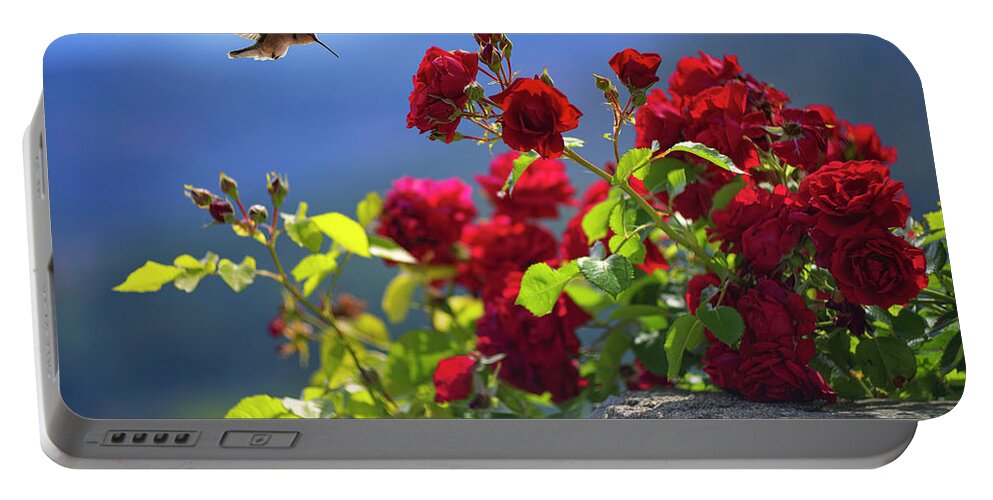 Hummingbird Portable Battery Charger featuring the photograph Hummingbird and roses by Giovanni Allievi