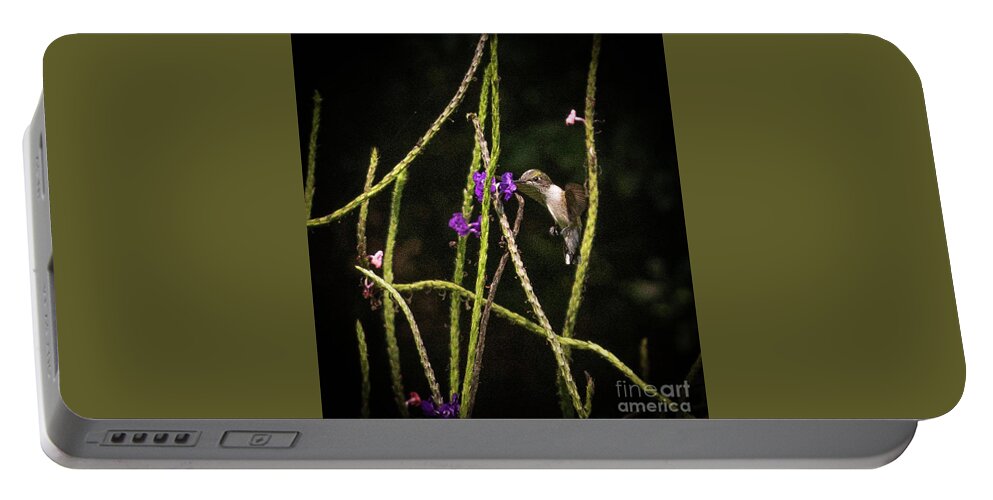 Hummingbird Portable Battery Charger featuring the photograph Hummingbird by Barry Bohn
