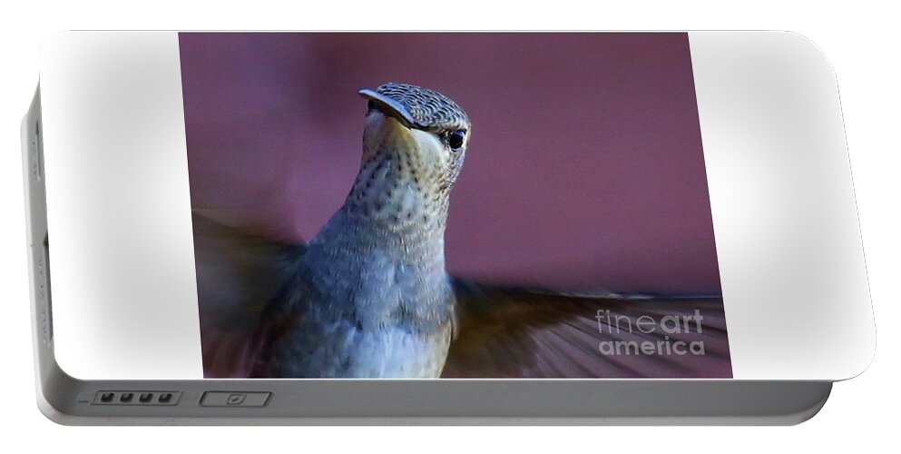 Hummingbird Portable Battery Charger featuring the photograph Hummingbird Encounter by Marty Fancy