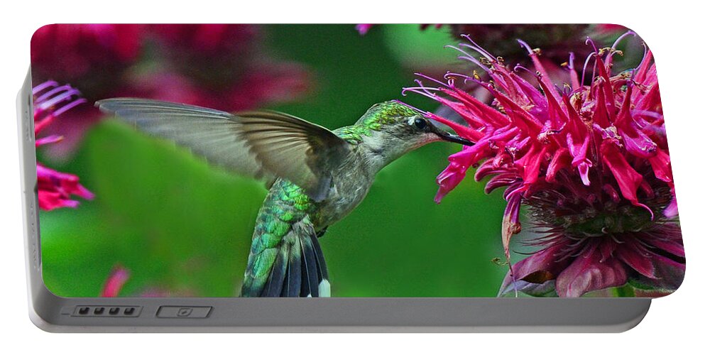 Hummingbird Portable Battery Charger featuring the photograph Hummingbird Gathering Nectar by Rodney Campbell