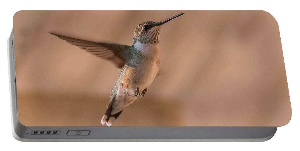 Hummingbird Portable Battery Charger featuring the photograph Hummingbird In Flight by Holden The Moment