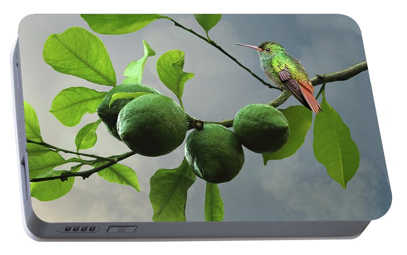 Fruit Portable Battery Charger featuring the digital art Hummingbird in LIme Tree by M Spadecaller