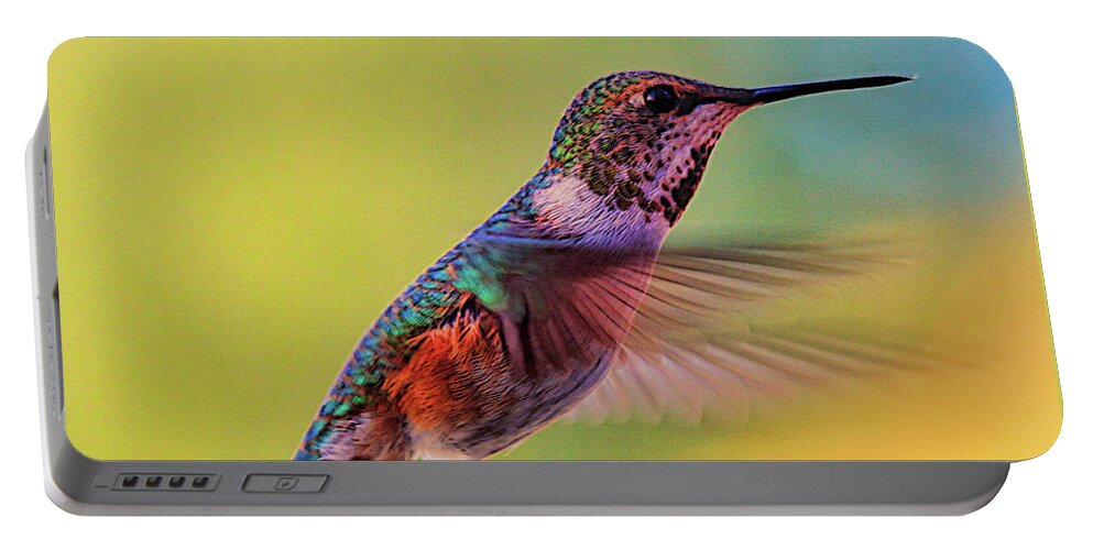 Bird Portable Battery Charger featuring the photograph Hummingbird by Mark Jackson