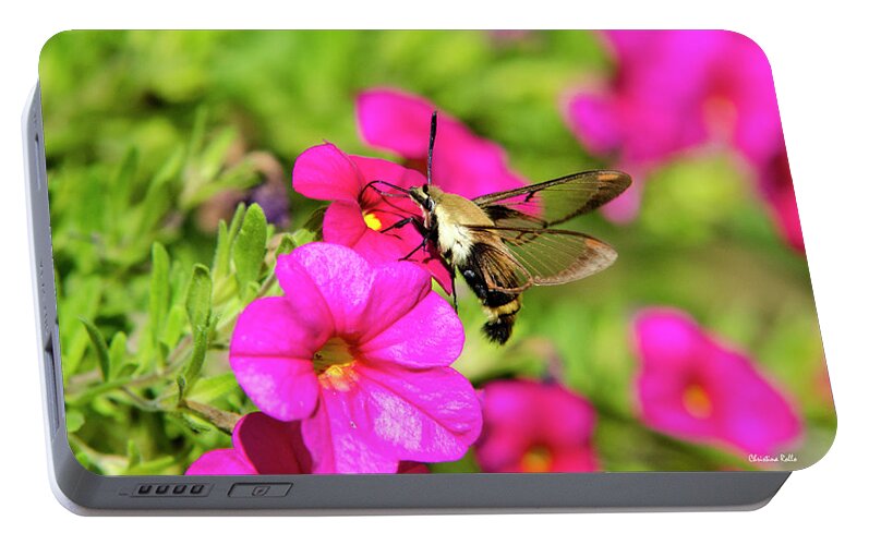 Hummingbird Moth Portable Battery Charger featuring the photograph Hummingbird Moth by Christina Rollo