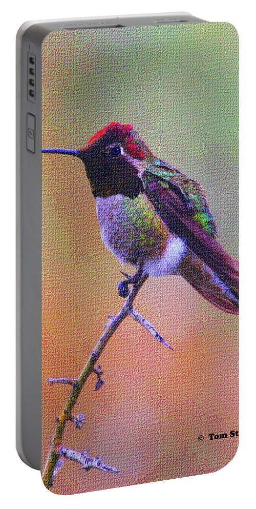 Hummingbird Portable Battery Charger featuring the photograph Hummingbird On A Stick by Tom Janca