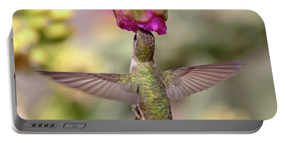 Hummingbird Portable Battery Charger featuring the photograph Hummingbird on Cholla Cactus by Mindy Musick King