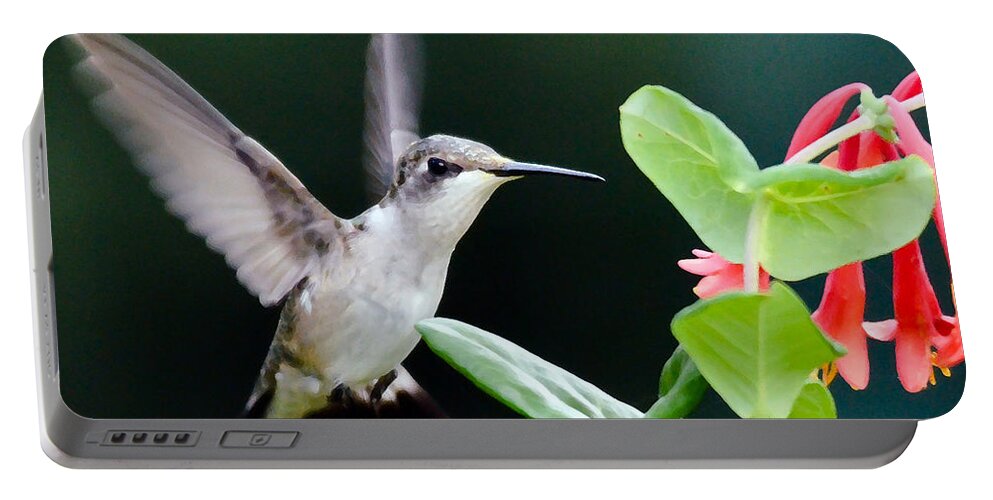 Hummingbird Portable Battery Charger featuring the photograph Hummingbird On The Approach by Kerri Farley