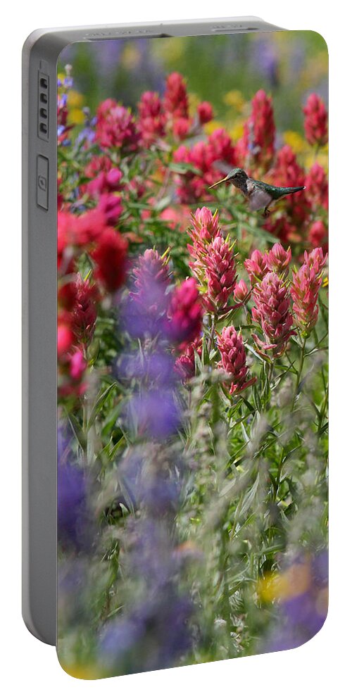 Wildflower Portable Battery Charger featuring the photograph Hummingbird with Wildflowers by Brett Pelletier