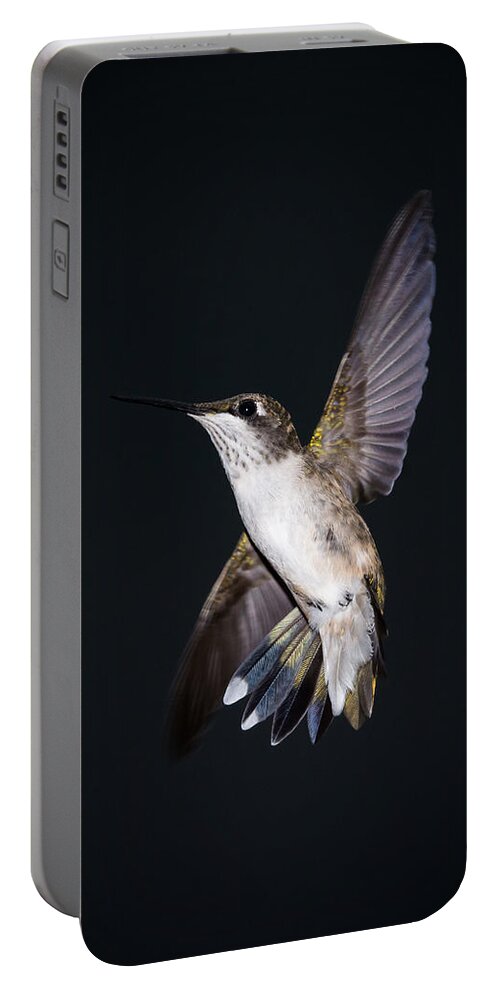 Hummingbird Portable Battery Charger featuring the photograph Hummingbird Yoga by Holden The Moment