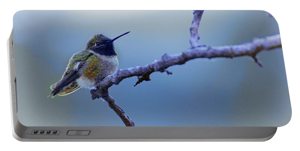 Hummingbird Portable Battery Charger featuring the photograph Hummingbird11 by Loni Collins