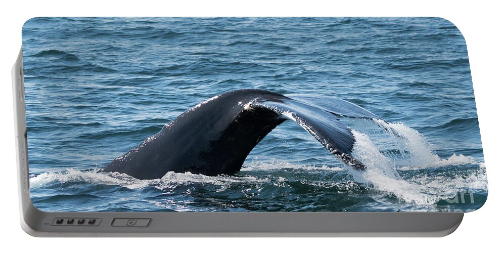 Whale Portable Battery Charger featuring the photograph Humpback Whale of a Tail by Lorraine Cosgrove