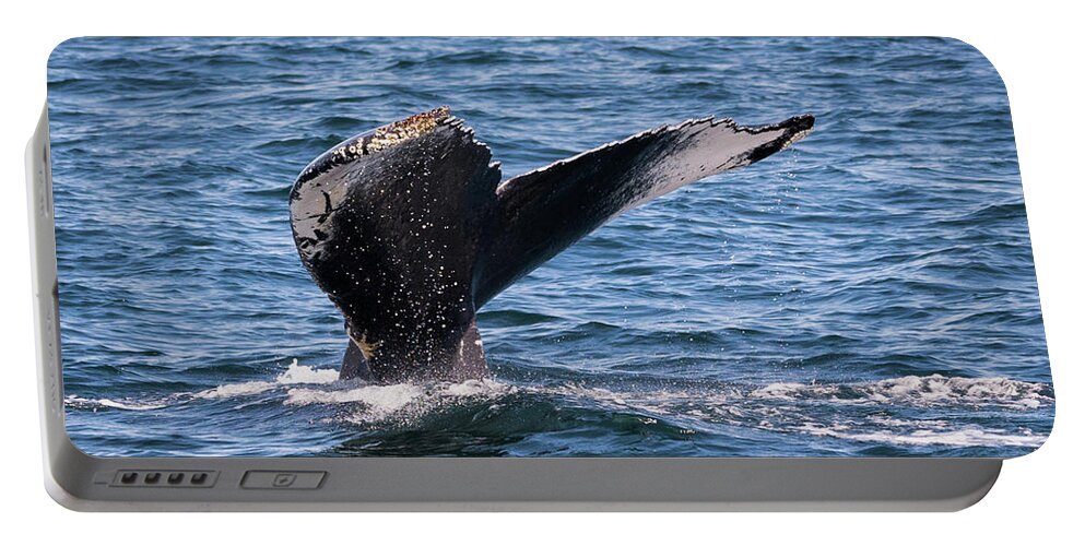 Humpback Portable Battery Charger featuring the photograph Humpback Whale Tail 2 by Lorraine Cosgrove