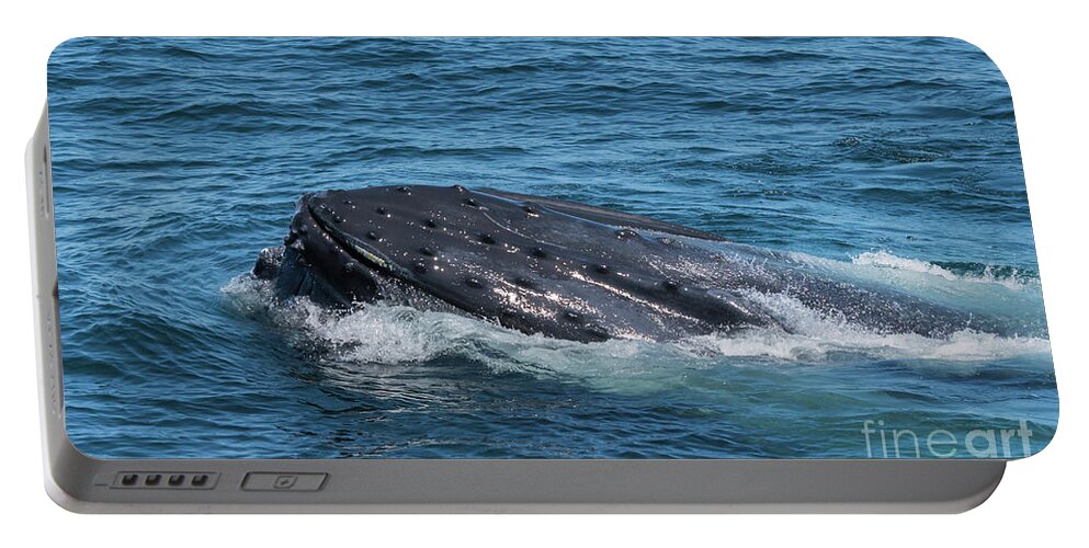 Whale Portable Battery Charger featuring the photograph Humpback Whale Tubercles by Lorraine Cosgrove