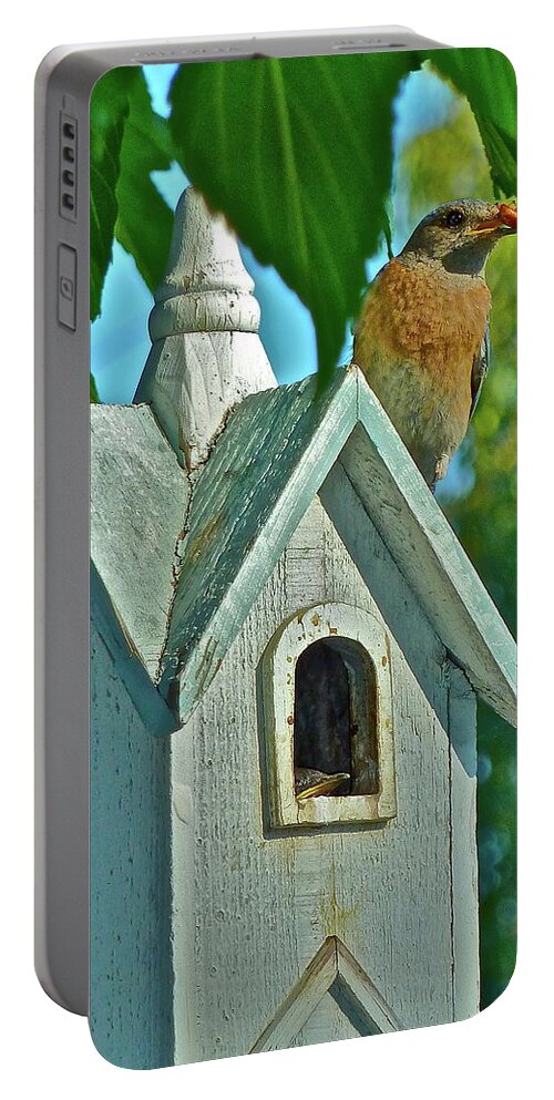 Birds Portable Battery Charger featuring the photograph Hungry Baby by Diana Hatcher
