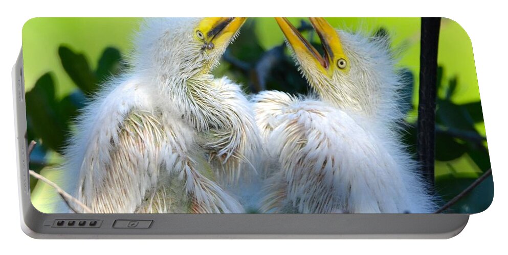 St. Augustine Portable Battery Charger featuring the photograph Hungry Egret Chicks by Richard Bryce and Family
