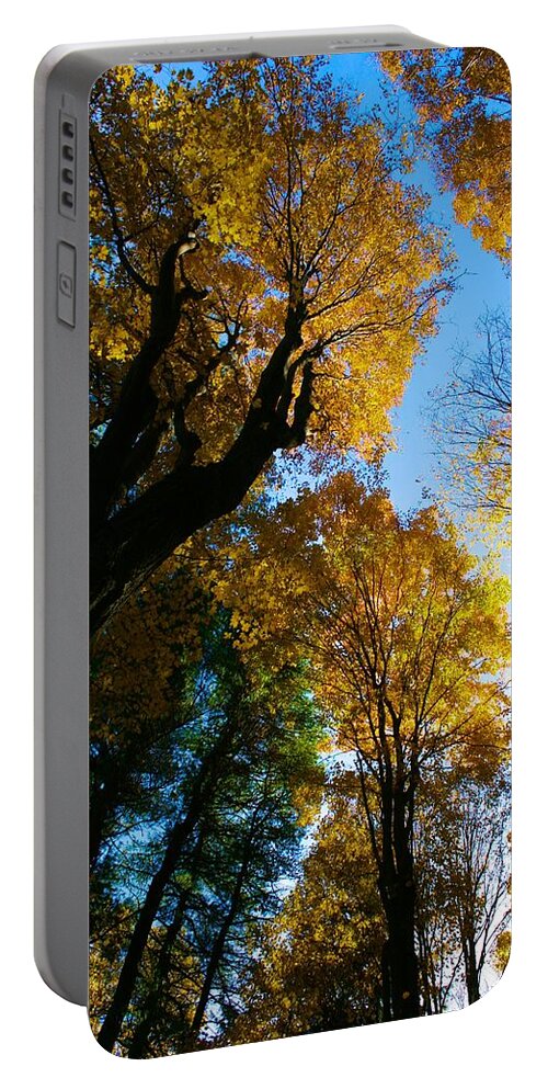  Portable Battery Charger featuring the photograph Huntington Clearstory by Polly Castor