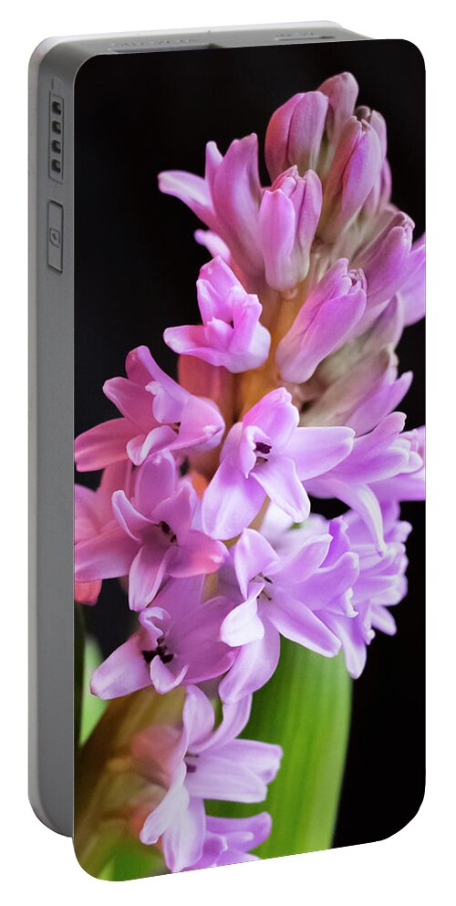 Hyacinth Portable Battery Charger featuring the photograph Hyacinth by Cristina Stefan