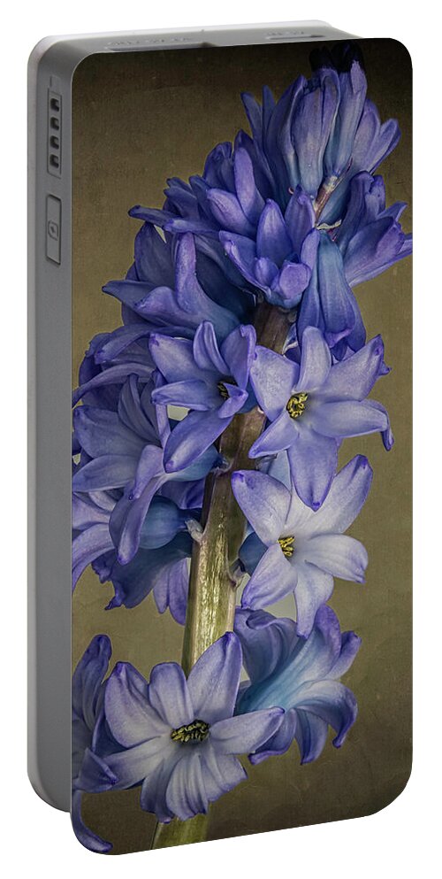 Flowers Portable Battery Charger featuring the photograph Hyacinth by John Roach