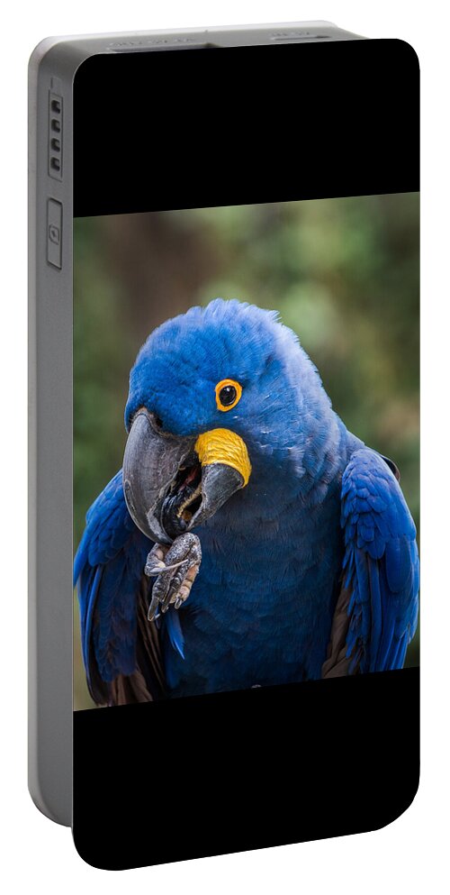 Macaw Portable Battery Charger featuring the photograph Hyacinth Macaw by Patti Deters