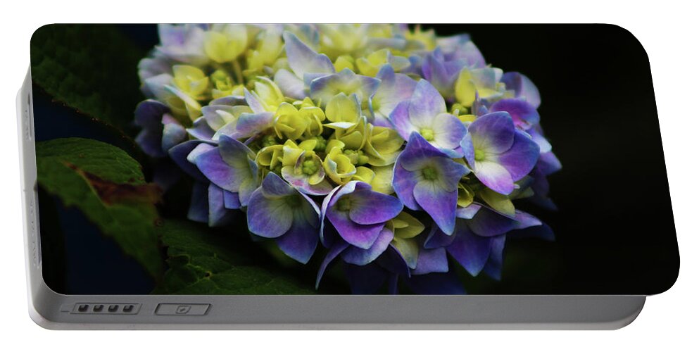 Hydrangea Flowers Portable Battery Charger featuring the photograph Hydrangea 3705 H_2 by Steven Ward