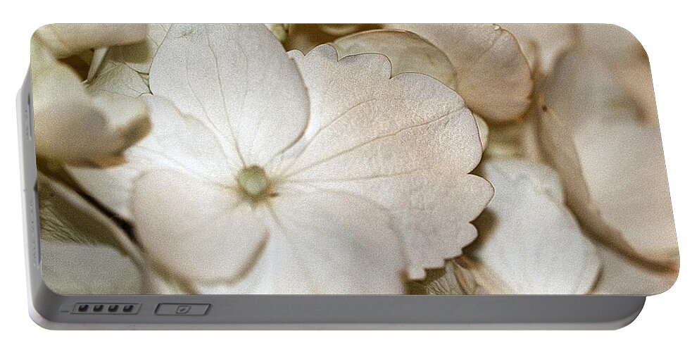 Hydrangea Portable Battery Charger featuring the photograph Hydrangea Blossom in Sepia Tones by Andrea Lazar