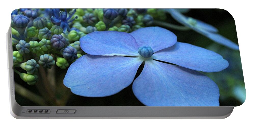 Flower Portable Battery Charger featuring the photograph Hydrangea by Juergen Roth