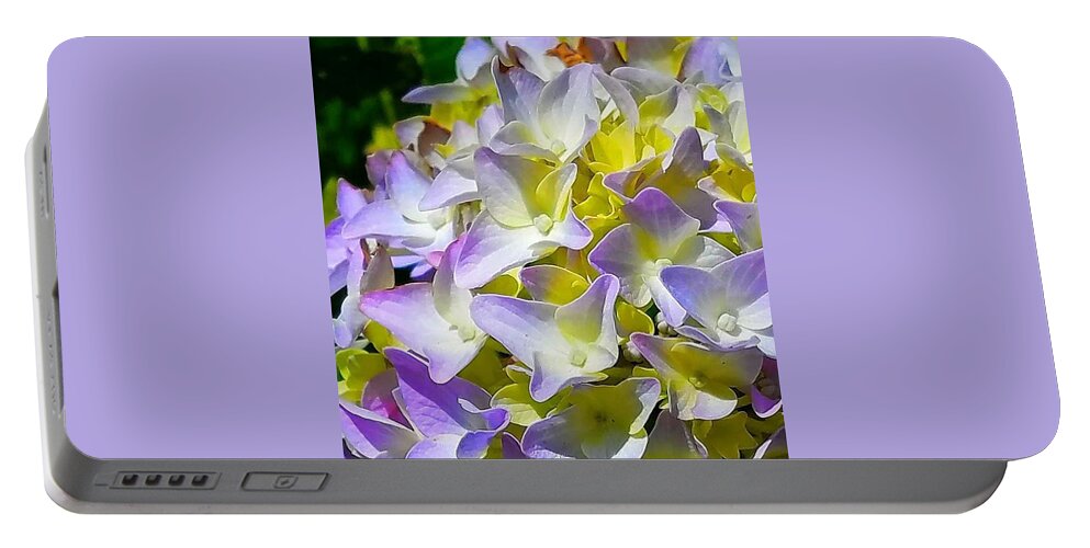 Hydrangea Portable Battery Charger featuring the photograph Hydrangea by Femina Photo Art By Maggie