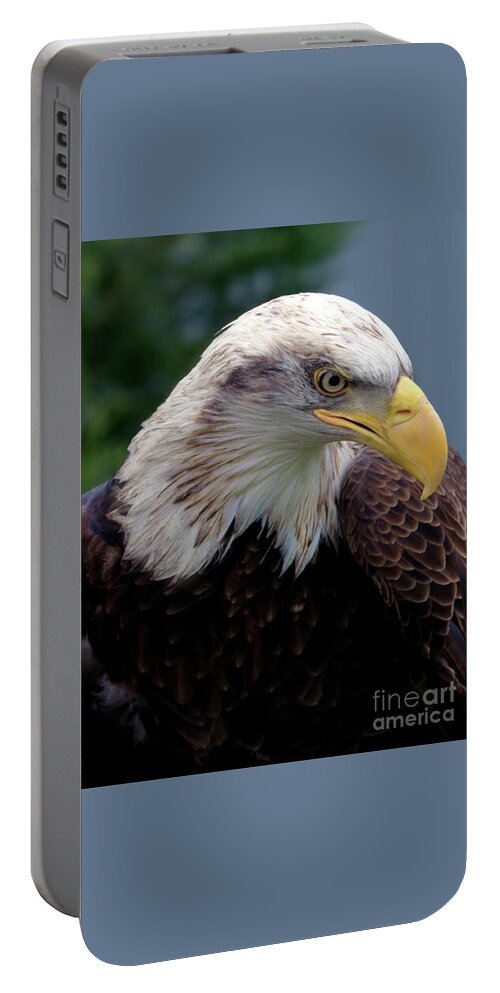 American Portable Battery Charger featuring the photograph Lethal Weapon by Stephen Melia