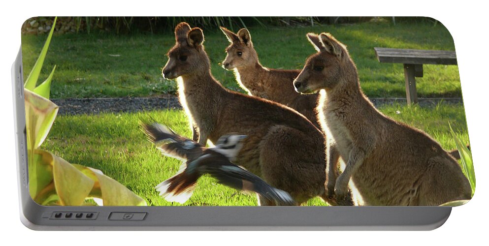 Kangaroo Portable Battery Charger featuring the photograph I Fly To You by Evelyn Tambour