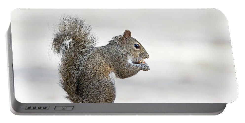 Squirrel Portable Battery Charger featuring the photograph I Have My Nuts by Deborah Benoit