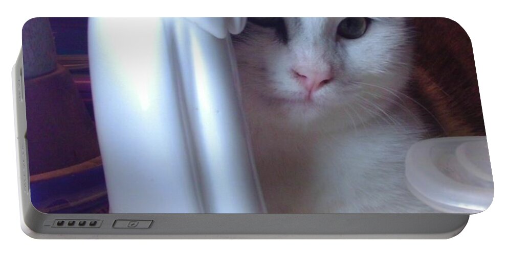 Kitten Portable Battery Charger featuring the photograph I Know What You Are Thinking by Denise F Fulmer