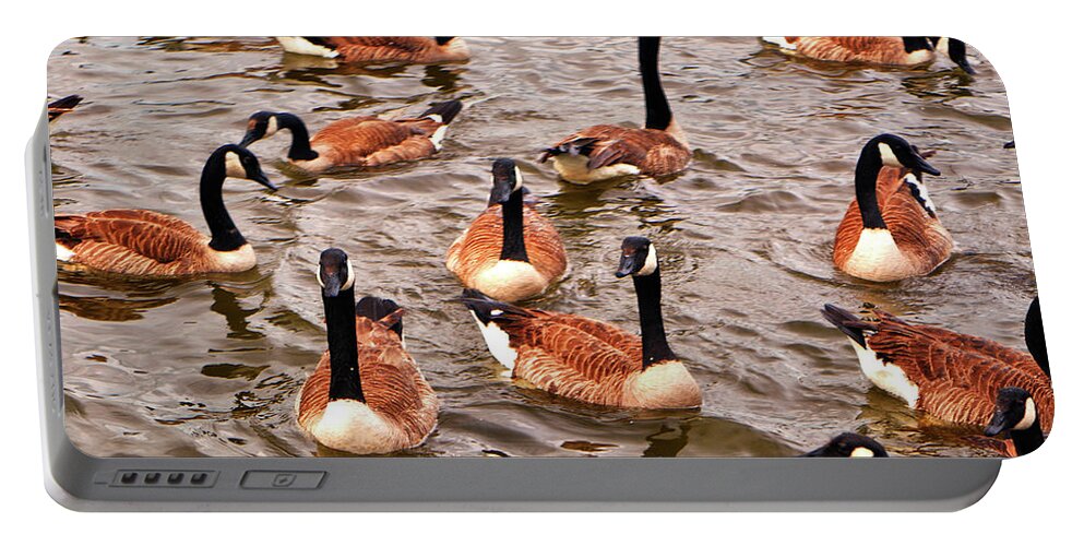 Geese Pymatuning Lake Portable Battery Charger featuring the photograph I Missed My Turn 001 by George Bostian