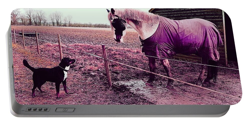 Dog Portable Battery Charger featuring the photograph I See You In Twilight Pink by Rowena Tutty