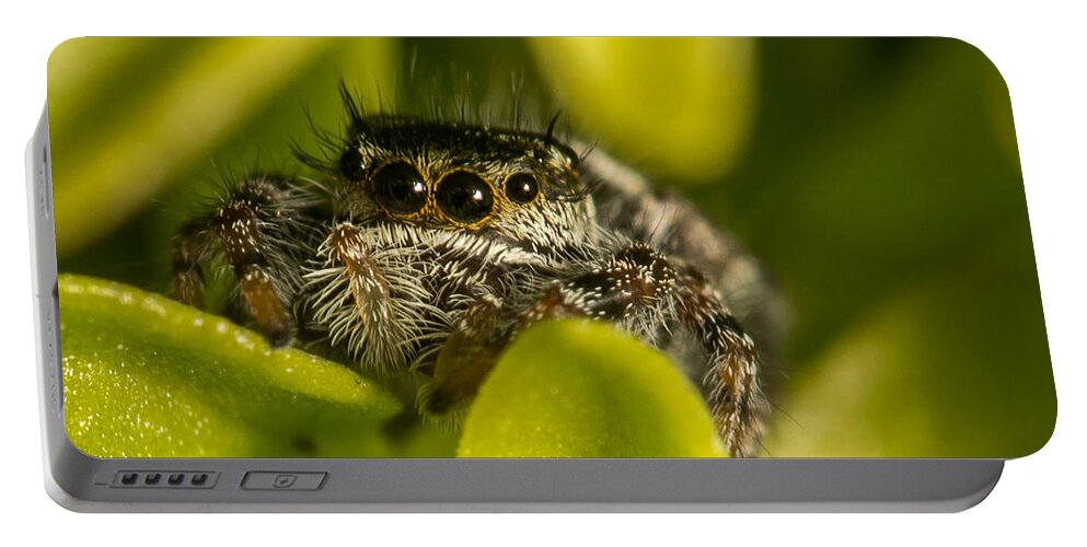 Salticidae Portable Battery Charger featuring the photograph I See You by Shawn Jeffries