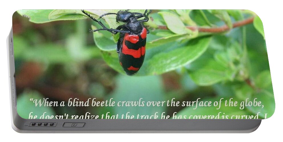 Beetle Portable Battery Charger featuring the photograph I Was Lucky Enough To Have Spotted It Einstein Quote by Taiche Acrylic Art