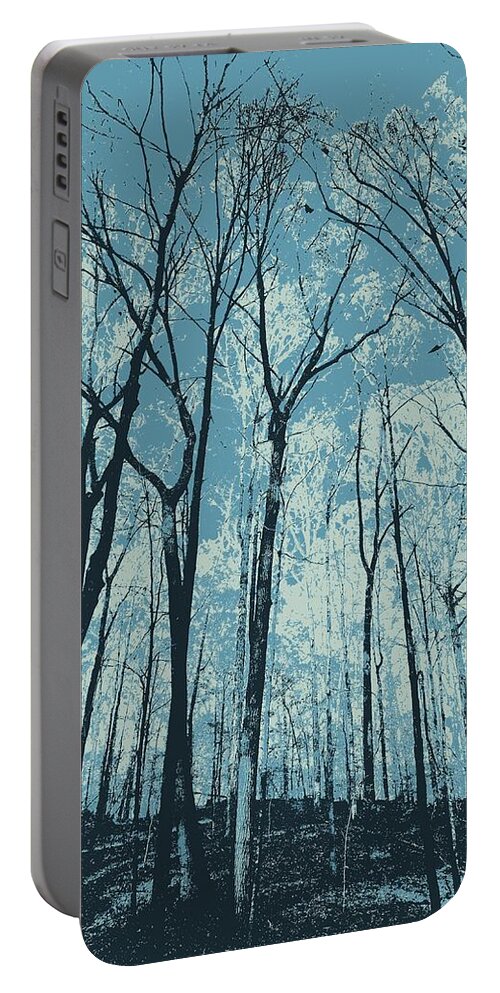 Ice Blue Portable Battery Charger featuring the photograph Ice Blue by Edward Smith