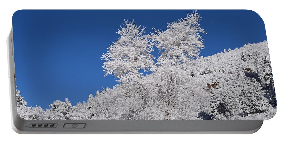 Ice Portable Battery Charger featuring the photograph Ice Crystals Ute Pass COS CO by Margarethe Binkley