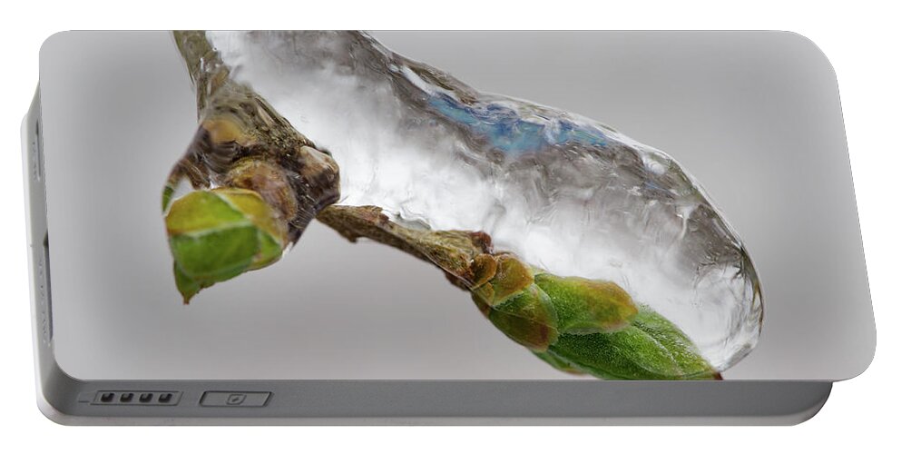 Awakening Portable Battery Charger featuring the photograph Ice Storm buds by Jakub Sisak