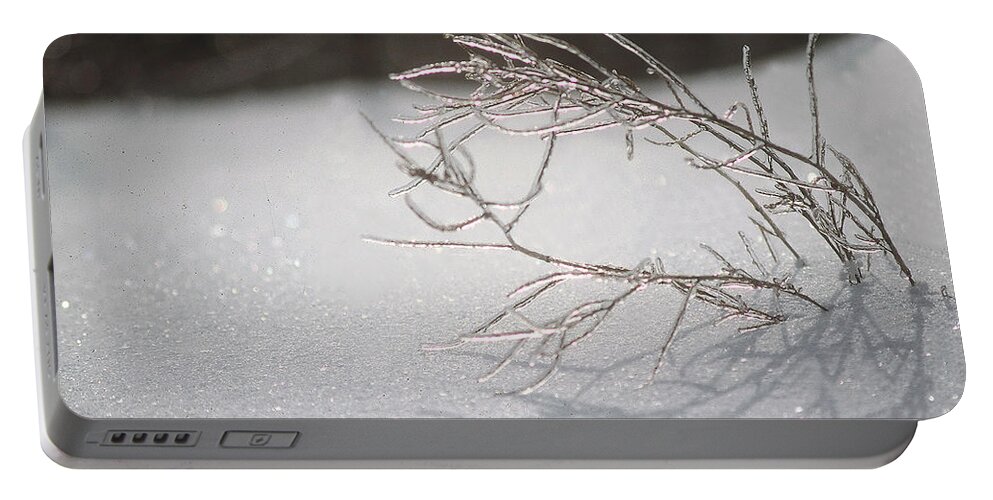 Ice Portable Battery Charger featuring the photograph Iced by DArcy Evans