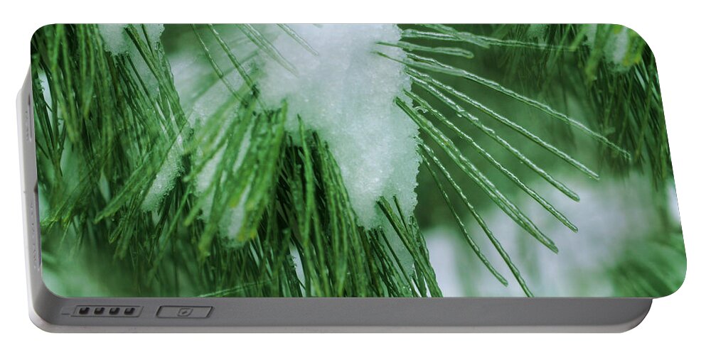 Winter Portable Battery Charger featuring the photograph Icy Pine Needles by Smilin Eyes Treasures