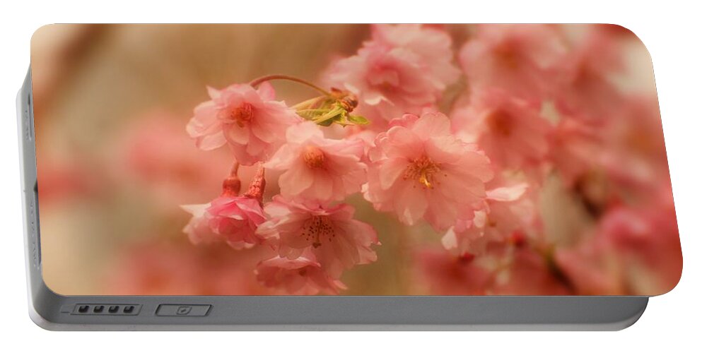Cherry Blossom Trees Portable Battery Charger featuring the photograph If Only For A Moment by Angie Tirado